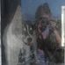 Profile Picture of Indigo Branscombe (@indigo.branscombe) on Facebook