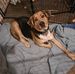 Profile Picture of Debbie Clodfelter (@debbie.clodfelter.311) on Facebook