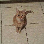 Profile Picture of Paul Tarry (@raulierooroo) on Instagram