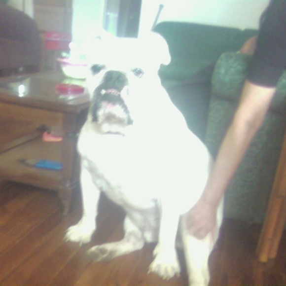 Profile Picture of Cathy Bennett (@beingsneaky1) on Poshmark