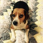 Profile Picture of Tracy Wiley (@stanntracy) on Instagram