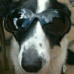 Profile Picture of Declan Cronin (@dc.69) on Instagram