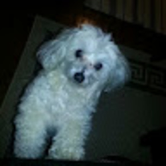 Profile Picture of Ceneida Mejia (@ceneidamejia) on Poshmark