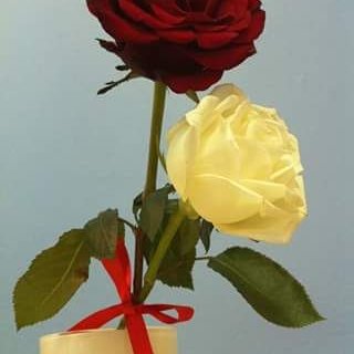 Profile Picture of Mdm El Mouatassim Bi (@MdmMouatassim) on Twitter