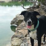 Profile Picture of Ivy Carroll (@ivysails) on Instagram