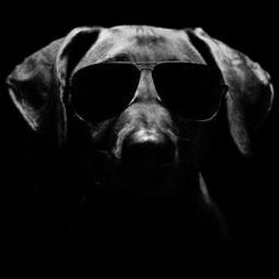 Profile Picture of David Goltz (@DavidGoltz) on Twitter