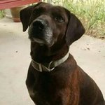 Profile Picture of jeff arthur (@jeff.arthur) on Instagram