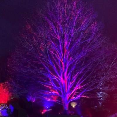 Profile Picture of Rebecca Collins (@ChapelHouseBeki) on Twitter