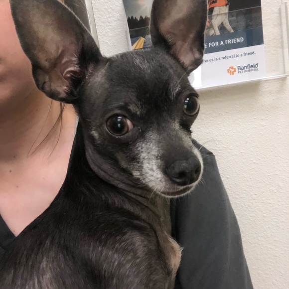 Profile Picture of Reid Stewart (@rem42917) on Poshmark