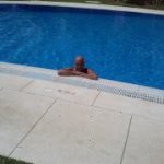 James Leaper - Instagram Profile Picture of James Leaper (@leaps63) on Instagram