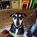 Profile Picture of Andrew Wardlaw (@andrew.wardlaw.3) on Facebook