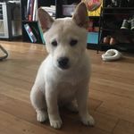 Profile Picture of Eli Maxwell Nguyen (@eli.maxwell.nguyen) on Instagram