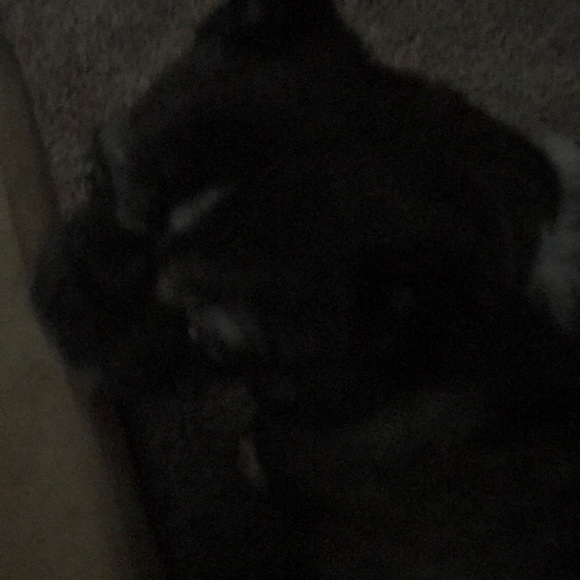 Profile Picture of Elizabeth Ennenga (@eennenga) on Poshmark