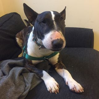 Profile Picture of Steven Buehler (@Steven-Buehler) on Facebook