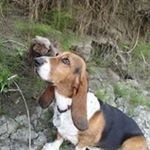 Profile Picture of Sharon Mock (@mocksharon) on Instagram