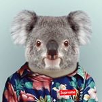 Profile Picture of Max Howell -_- (@max_j_h12) on Instagram