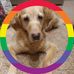 Profile Picture of Julia Halm (Lola) (@julia.halm.33) on Facebook