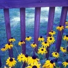 Profile Picture of Anthea Luna (@153526102) on Myspace