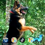 Profile Picture of Jomon Paul Joyal (@jomon.paul.79) on Instagram
