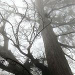 Profile Picture of Yu-Ting Chou (@yujkn0215) on Instagram