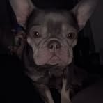 Profile Picture of Andrew Maltby (@Andrew-Maltby) on Facebook