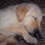 Profile Picture of Kyle Meriwether (@Kyle-Meriwether) on Facebook