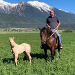 Profile Picture of William Schutter (@william.schutter.79) on Facebook