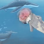 Profile Picture of Michael Adams (@Michael-Adams) on Facebook