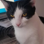 Profile Picture of Jim Fitch (@jimfitch1500) on Youtube