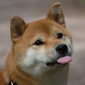 Profile Picture of Hunter Vaughn (@hunter7vaughn0324) on Pinterest