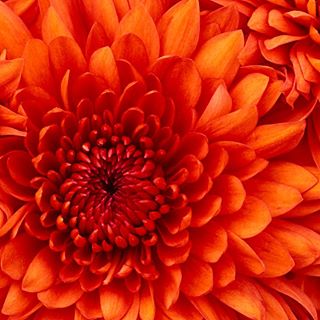 Profile Picture of Alice Post (@Alice-Post) on Facebook