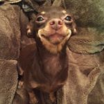 Profile Picture of Wanda (@paulsen_5673__isaias) on Instagram