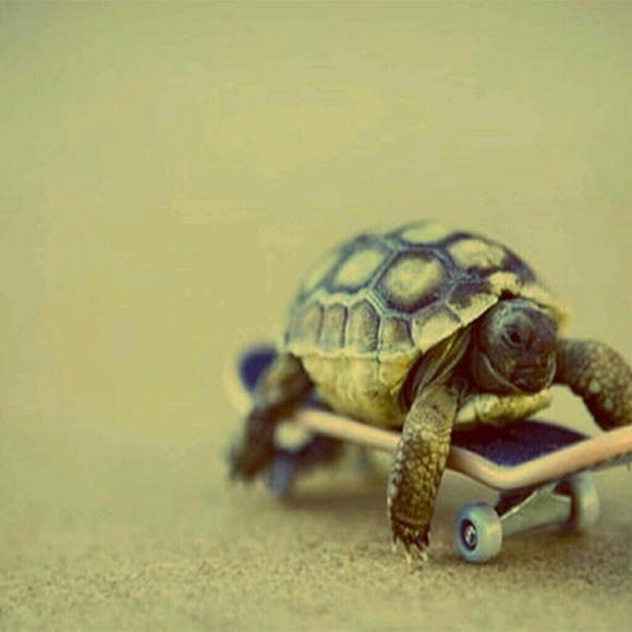 Profile Picture of Mikayla Perkins (@woogiewop) on Poshmark