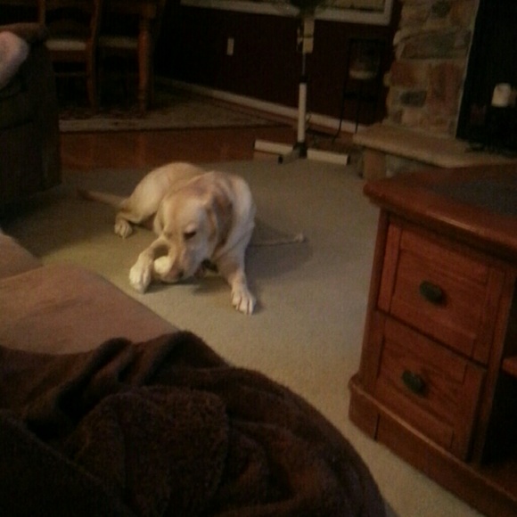 Profile Picture of Sandy Hurd (@sandrahurd) on Poshmark