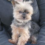 Profile Picture of Liane Haselböck (@lianehaselbock) on Instagram