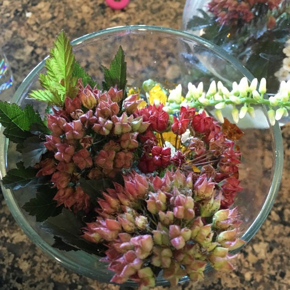 Profile Picture of Luann Cannon (@luanncannon) on Poshmark