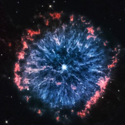 Profile Picture of David Burek (@david_burek) on Twitter