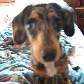 Profile Picture of Cindy Widner (@cindy.widner.18) on Facebook