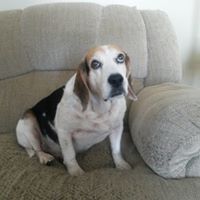 Profile Picture of Devon Newton Lawhorn (@devon_newton) on Pinterest