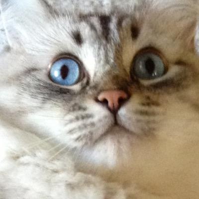 Profile Picture of Karen Brandon (@Kbrandon10Holly) on Twitter