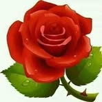 Loram Kulon - Facebook Profile Picture of Loram Kulon (@loram.kulon.94) on Facebook