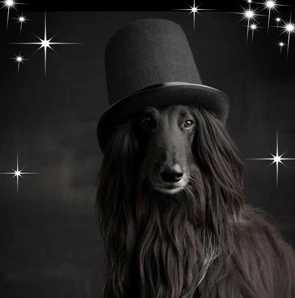 Profile Picture of Chris Comstock (@chris_comstock) on Poshmark