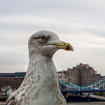 Profile Picture of Martijn Eerland (@martijneerland) on Flickr