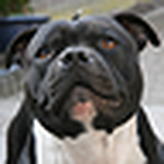 Profile Picture of Ingridv.eeten (@ingridv.eeten) on Flickr