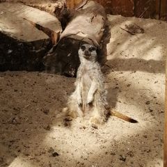 Profile Picture of James Peake (@jamespeake2) on Tiktok