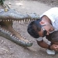 Profile Picture of Nick Pinto (@nick-pinto-1) on Quora