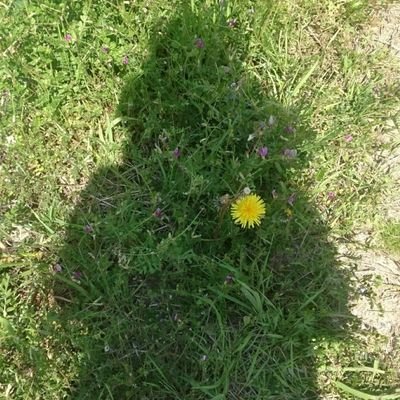 Profile Picture of のんのん※いいね ♥️制限あり、 ♥️&RT専用accountあり 🙇 (@nonnon_0426) on Twitter