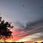 Profile Picture of April Mattox Quick (@aprilmq27) on Instagram