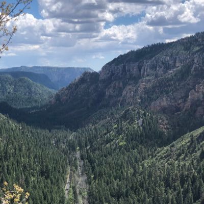 Profile Picture of Matthew McGraw (@Matimac7) on Twitter