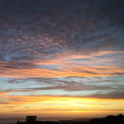 Profile Picture of Chris Van Dusen (@Cvan916) on Twitter